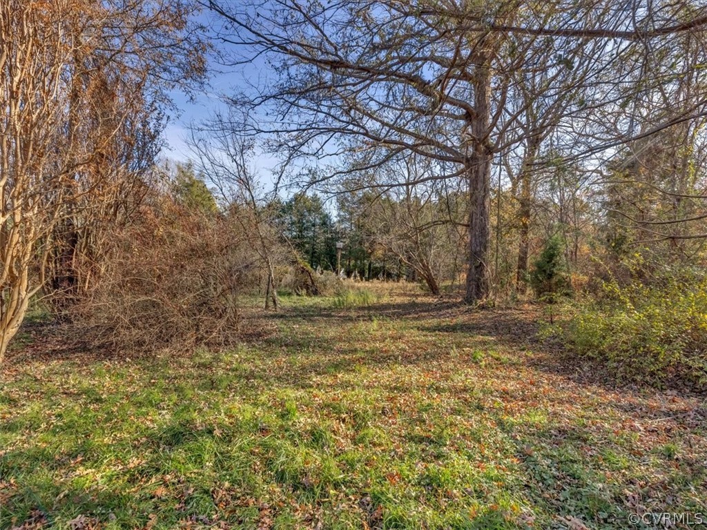 9601 Cattail Road Chesterfield, VA 23838 - Photo 8 of 16 a view of a yard with a tree