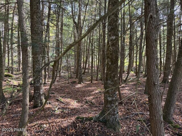 Fairmont Road Road Starrucca, PA 18462 - Photo 4 of 18