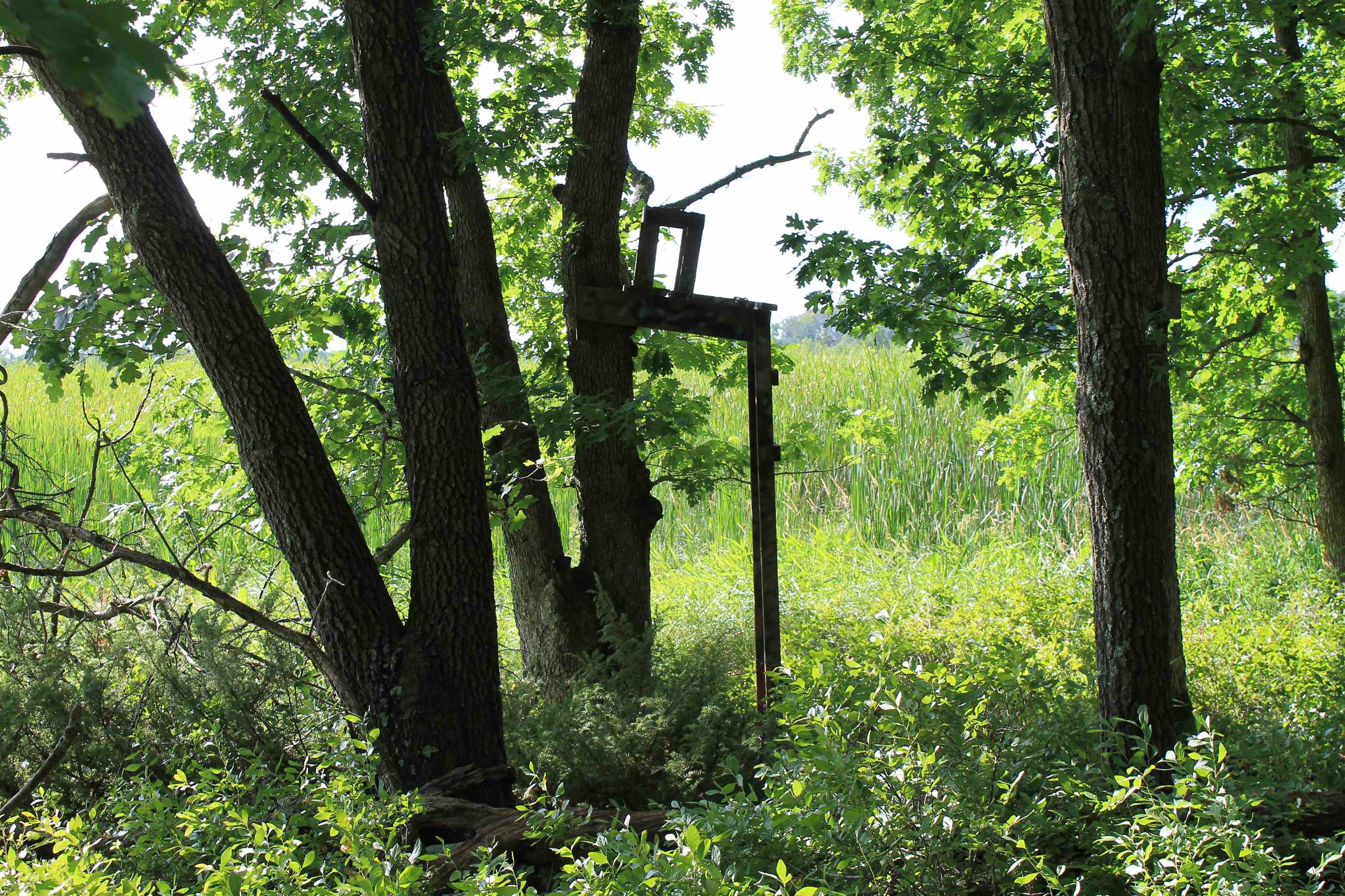 34th Road Berlin, WI 54923 - Photo 18 of 27 Gallery Image 18