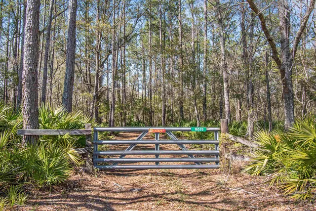 $230,000 | 16570 District Drive, Lamont, FL 32336