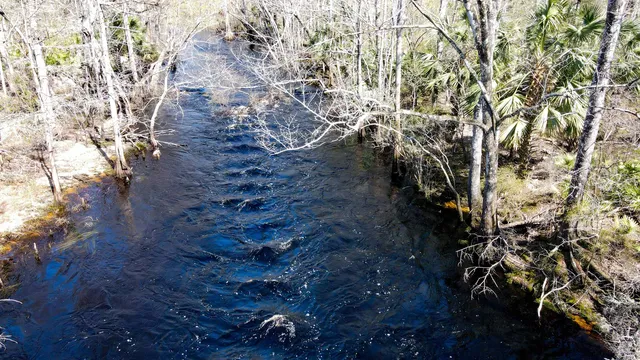 $230,000 | 16570 District Drive, Lamont, FL 32336