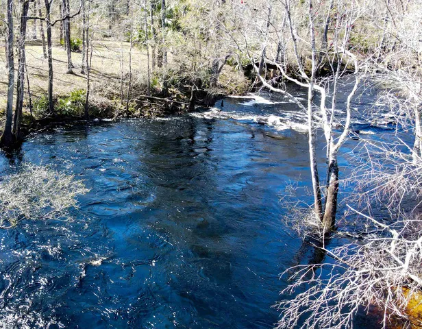 $230,000 | 16570 District Drive, Lamont, FL 32336