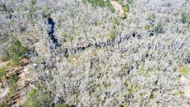 $230,000 | 16570 District Drive, Lamont, FL 32336