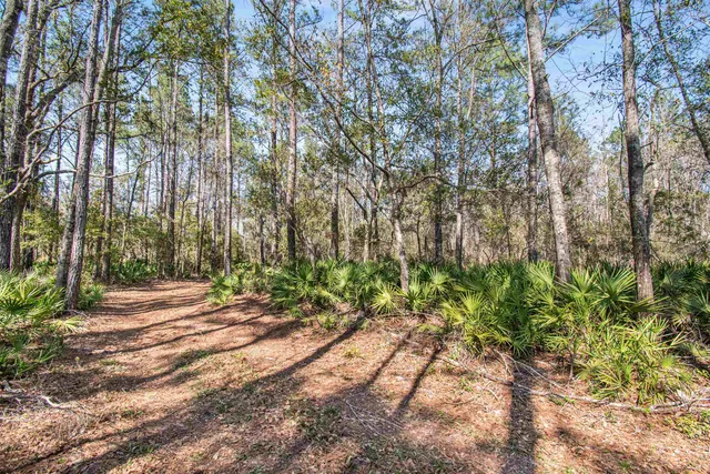 $230,000 | 16570 District Drive, Lamont, FL 32336