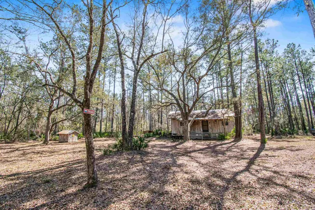 $230,000 | 16570 District Drive, Lamont, FL 32336