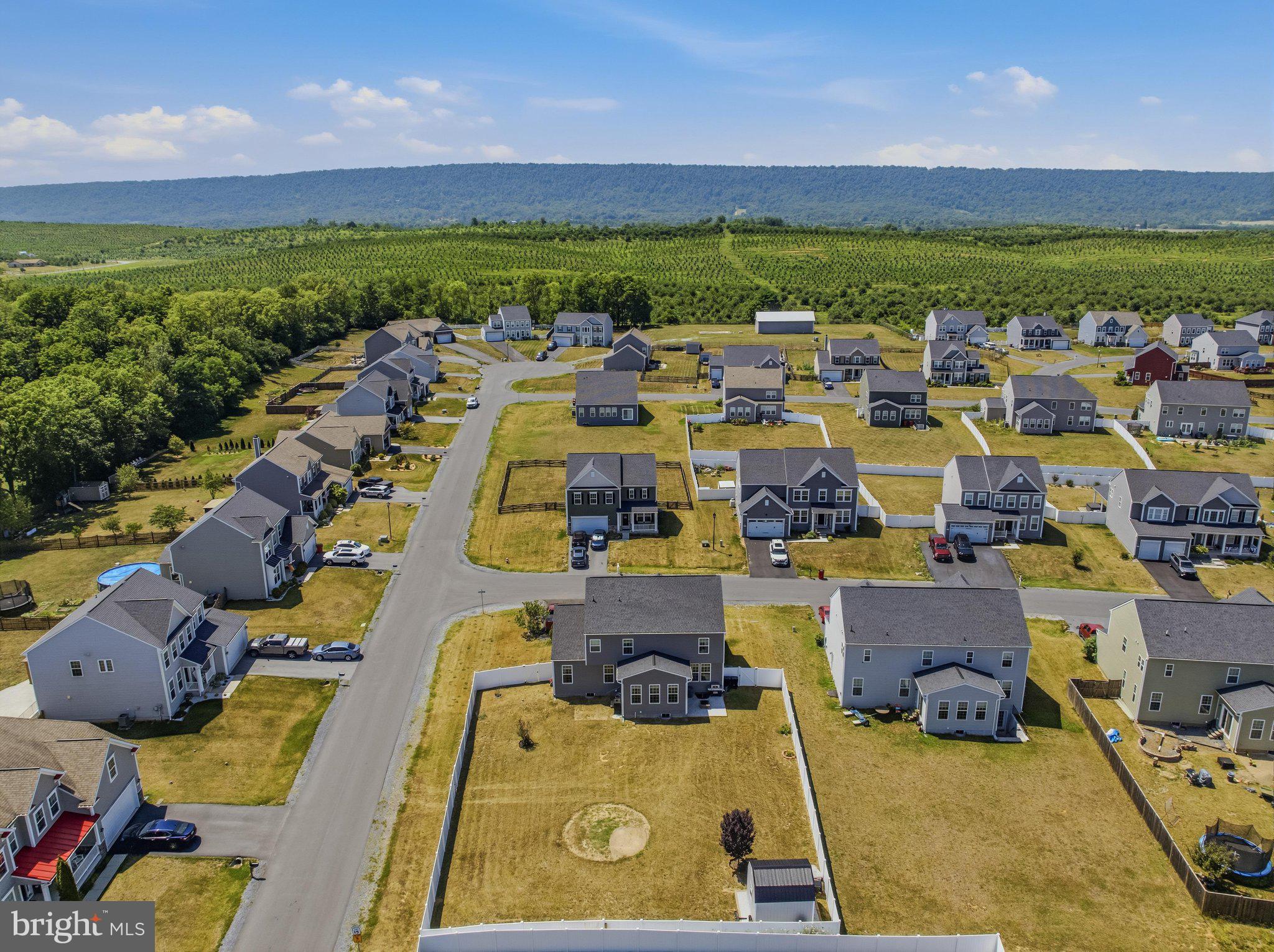 425 Lawrence Road Gerrardstown, WV 25420 - Photo 46 of 51 Aerial Back