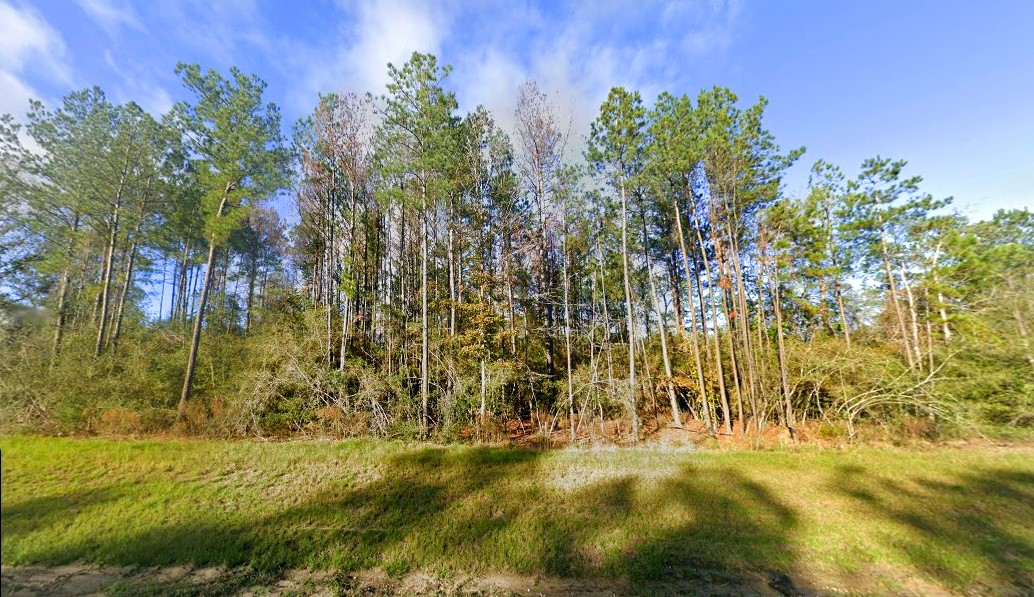 10633 Ruger Road Willis, TX 77378 - Photo 3 of 16 a view of swimming pool of grass and trees
