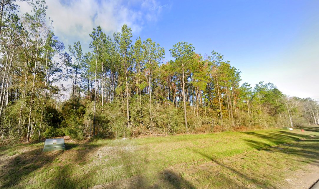 10633 Ruger Road Willis, TX 77378 - Photo 4 of 16 a view of yard with swimming pool and trees