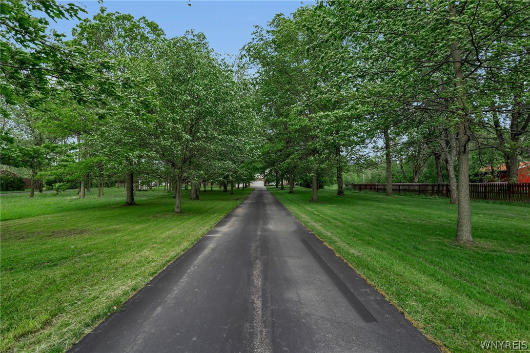 165 Schwartz Road Lancaster, NY 14086 - Photo 50 of 50