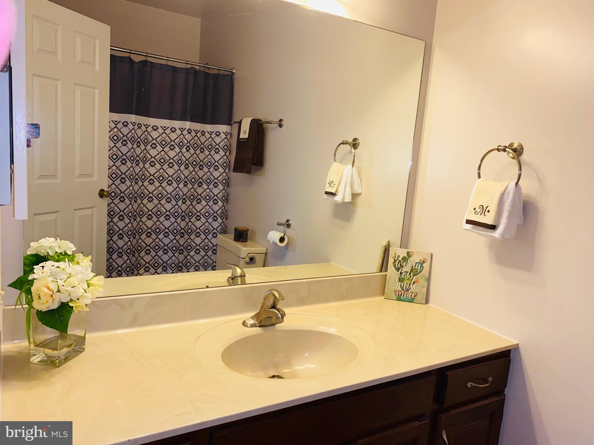 2017 Raleigh Road Hummelstown, PA 17036 - Photo 19 of 29 Full bath freshly painted and brand new flooring