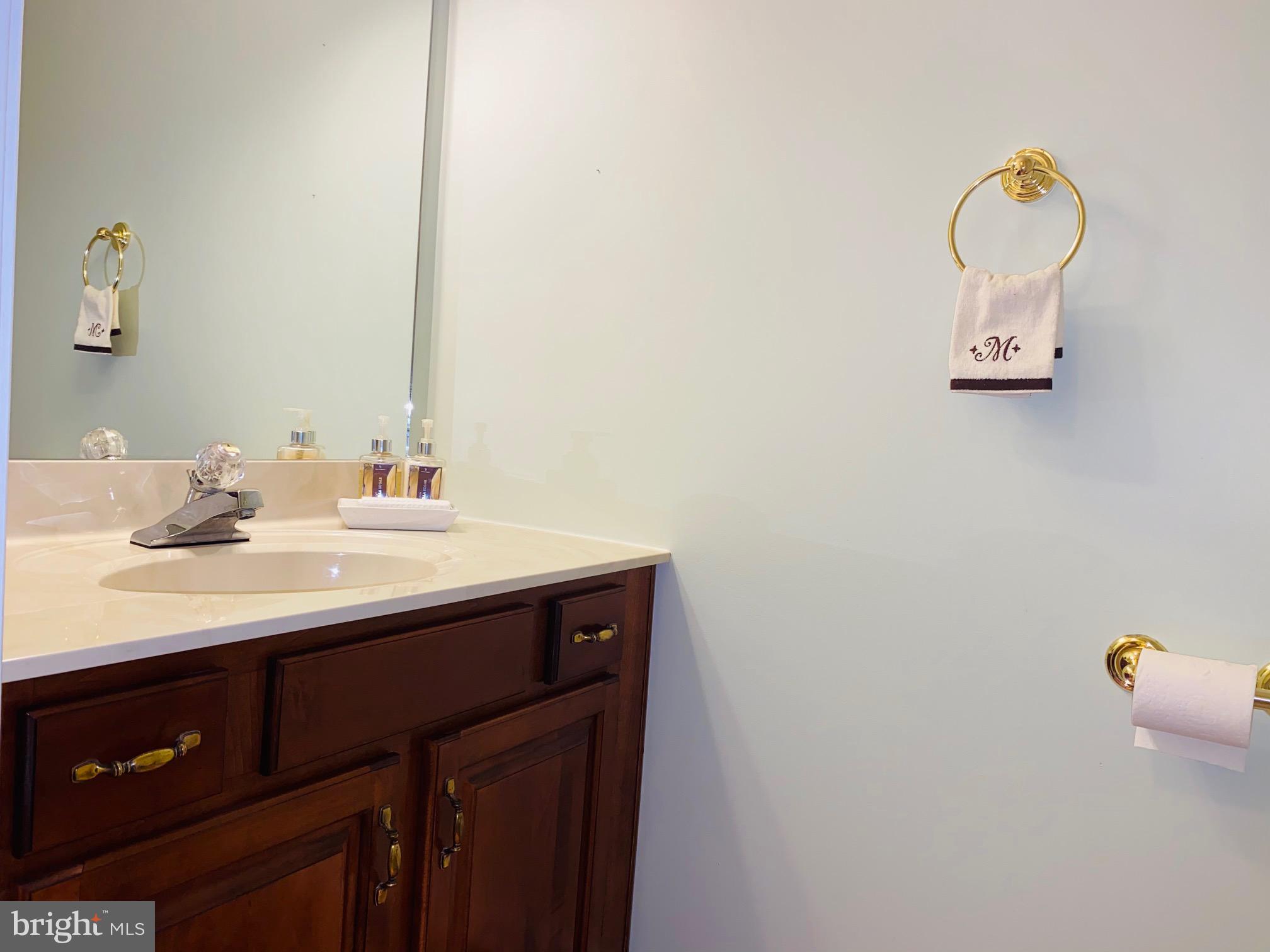 2017 Raleigh Road Hummelstown, PA 17036 - Photo 25 of 29 Lower level powder room