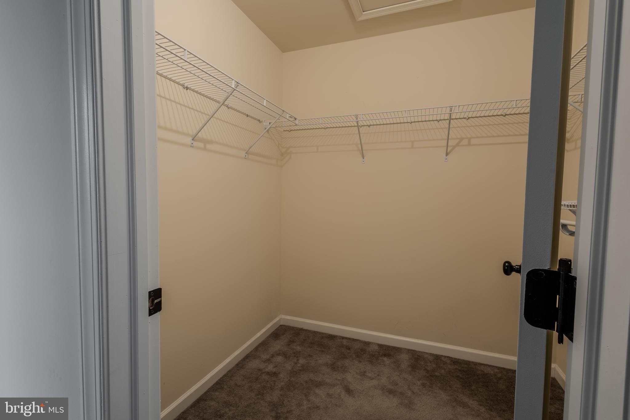 3365 Alydar Road Downingtown, PA 19335 - Photo 26 of 59 Walk in Closet