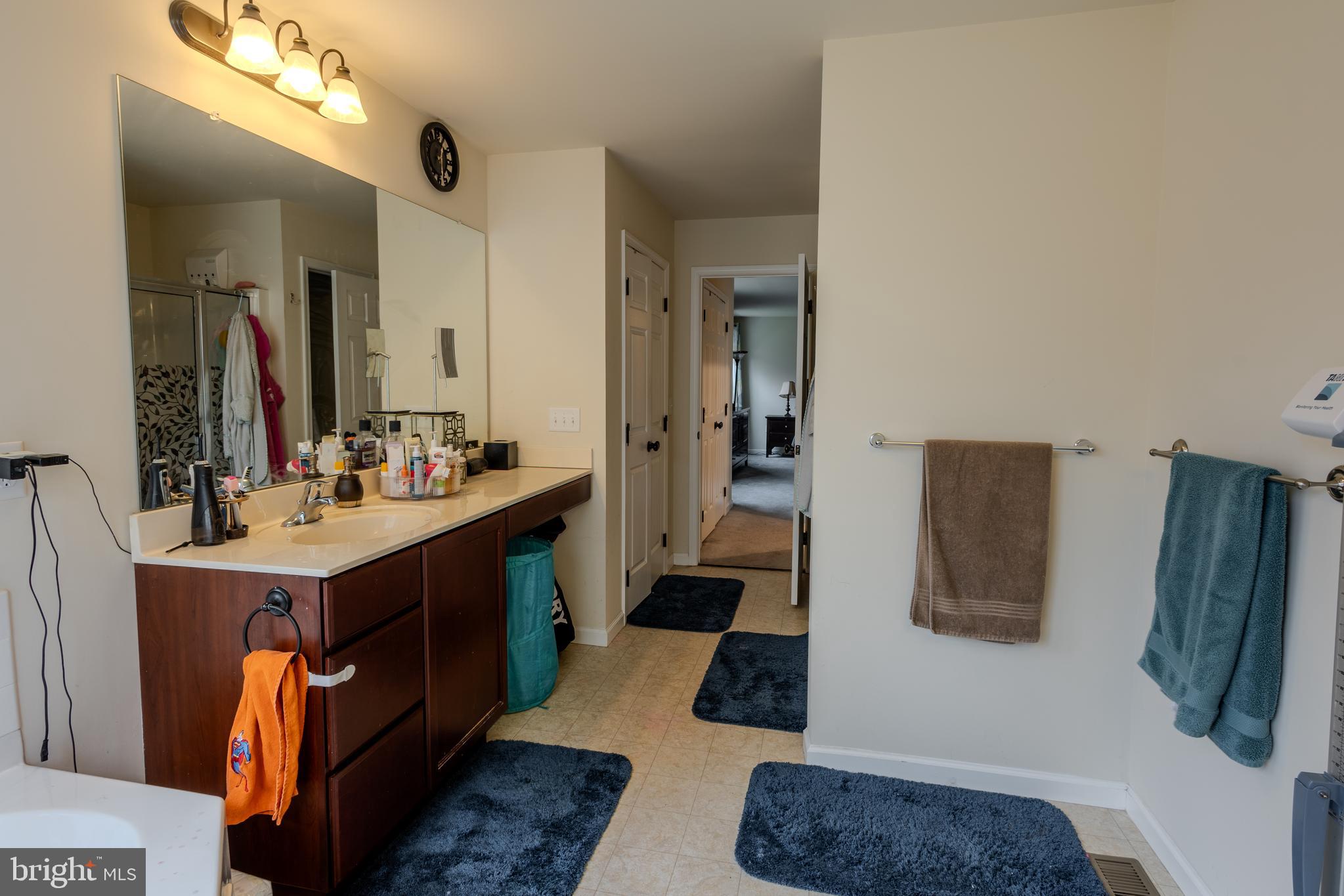 3365 Alydar Road Downingtown, PA 19335 - Photo 30 of 59 Primary Bathroom