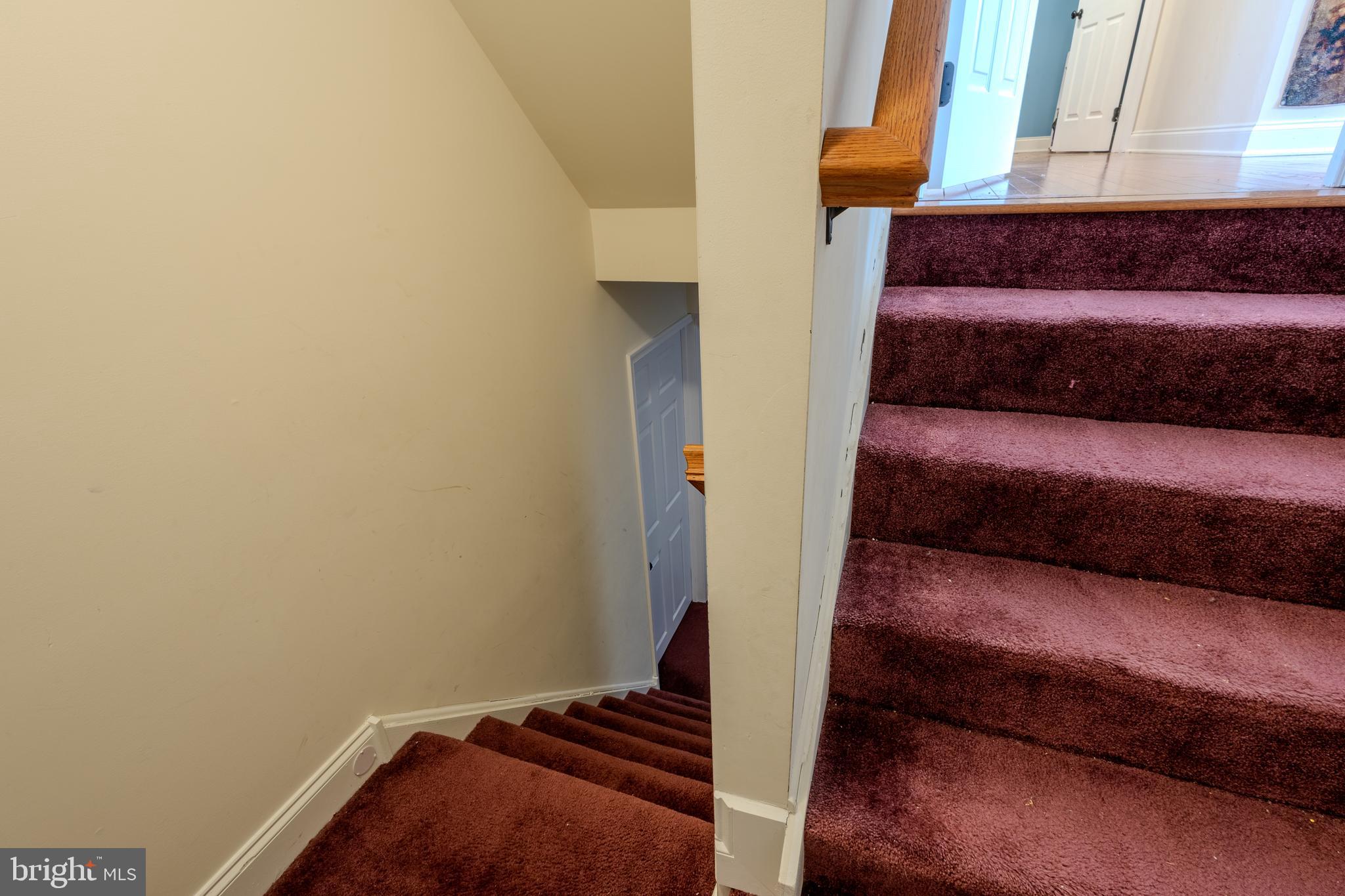 3365 Alydar Road Downingtown, PA 19335 - Photo 50 of 59 Finished Basement