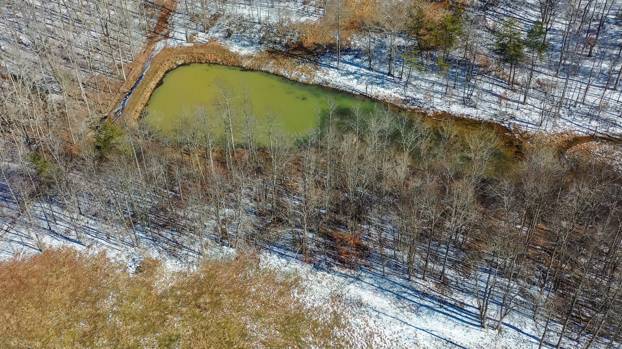 320 Old Ridge Road Sparta, TN 38583 - Photo 23 of 40 Gallery Image 23