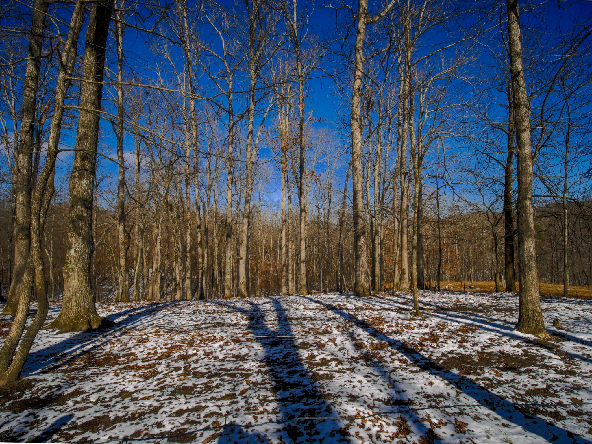 320 Old Ridge Road Sparta, TN 38583 - Photo 24 of 40 Gallery Image 24