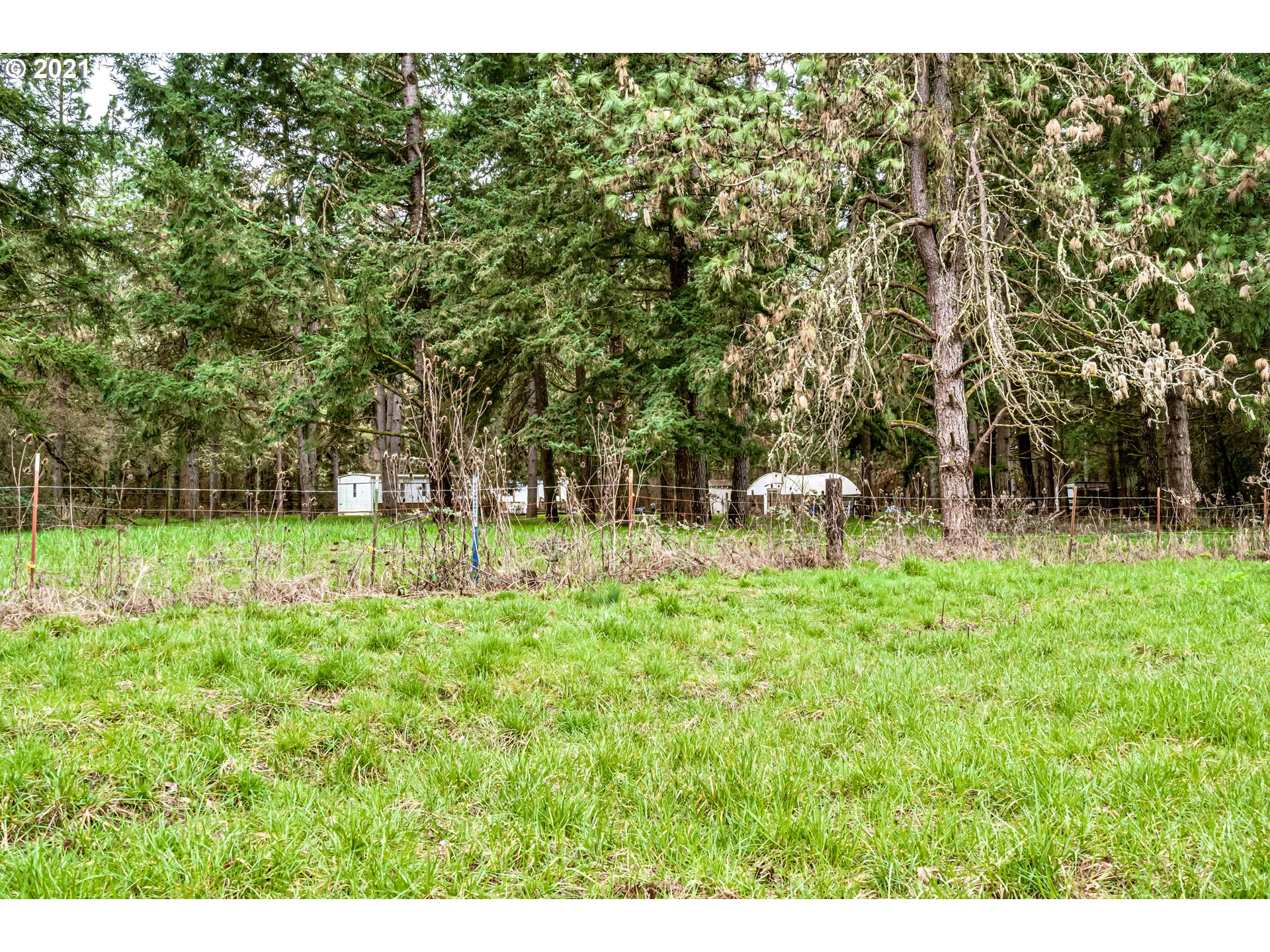 89015 Fir Butte Road Eugene, OR 97402 - Photo 12 of 21