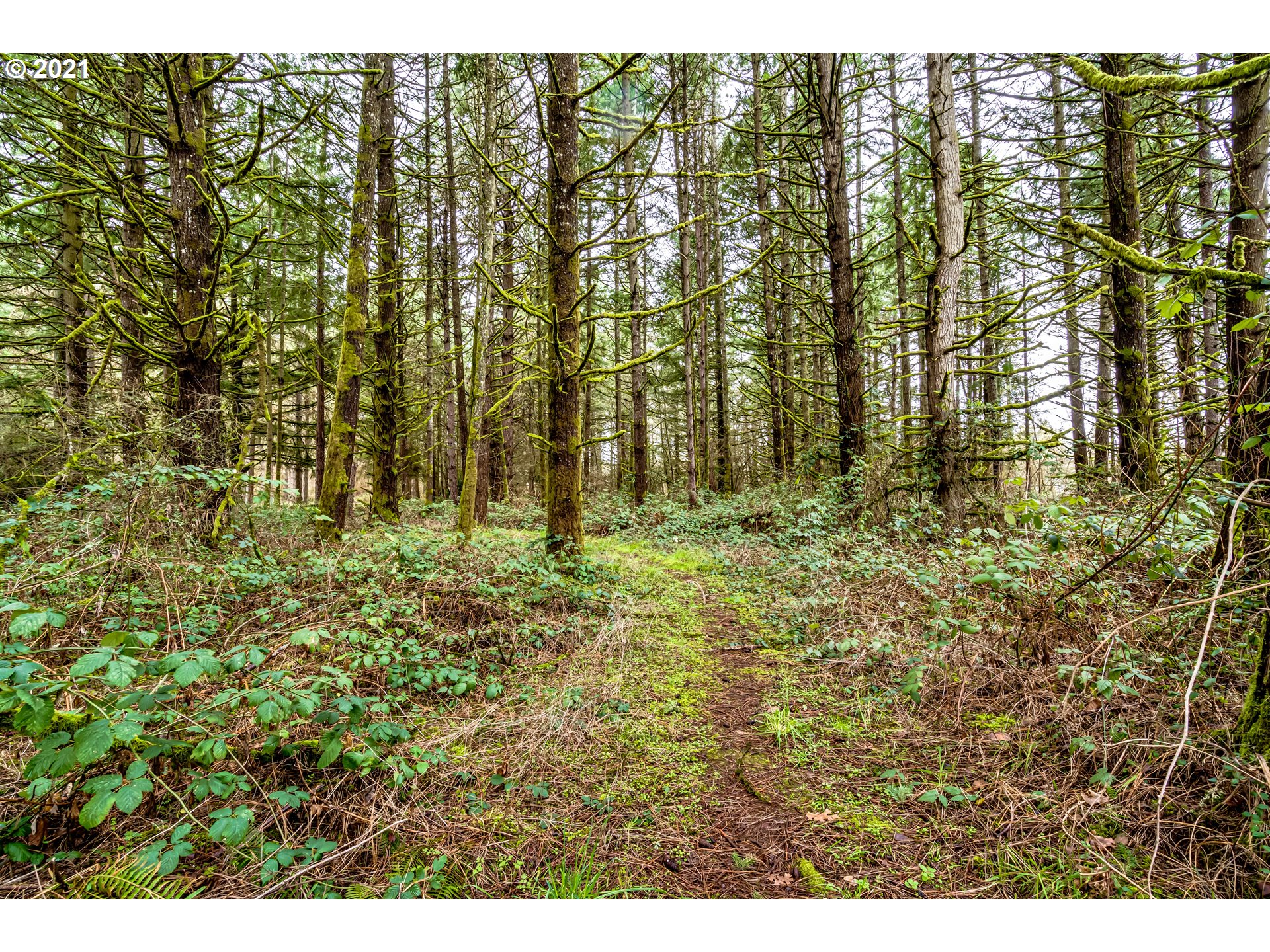 89015 Fir Butte Road Eugene, OR 97402 - Photo 13 of 21