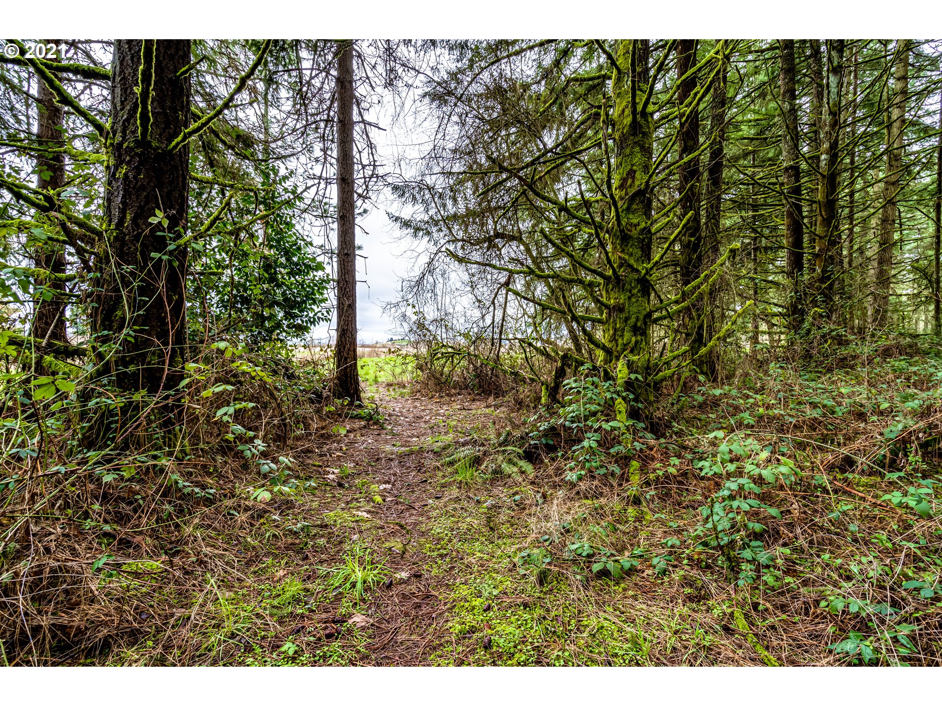 89015 Fir Butte Road Eugene, OR 97402 - Photo 14 of 21