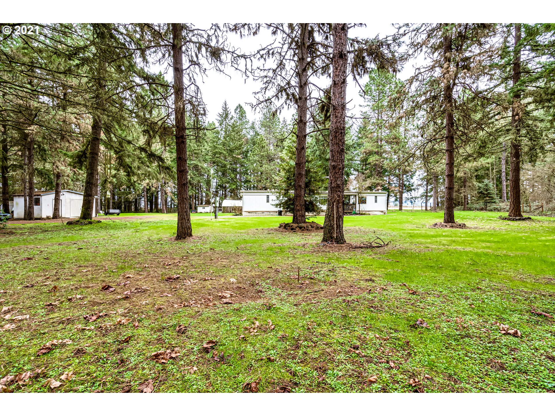 89015 Fir Butte Road Eugene, OR 97402 - Photo 10 of 21