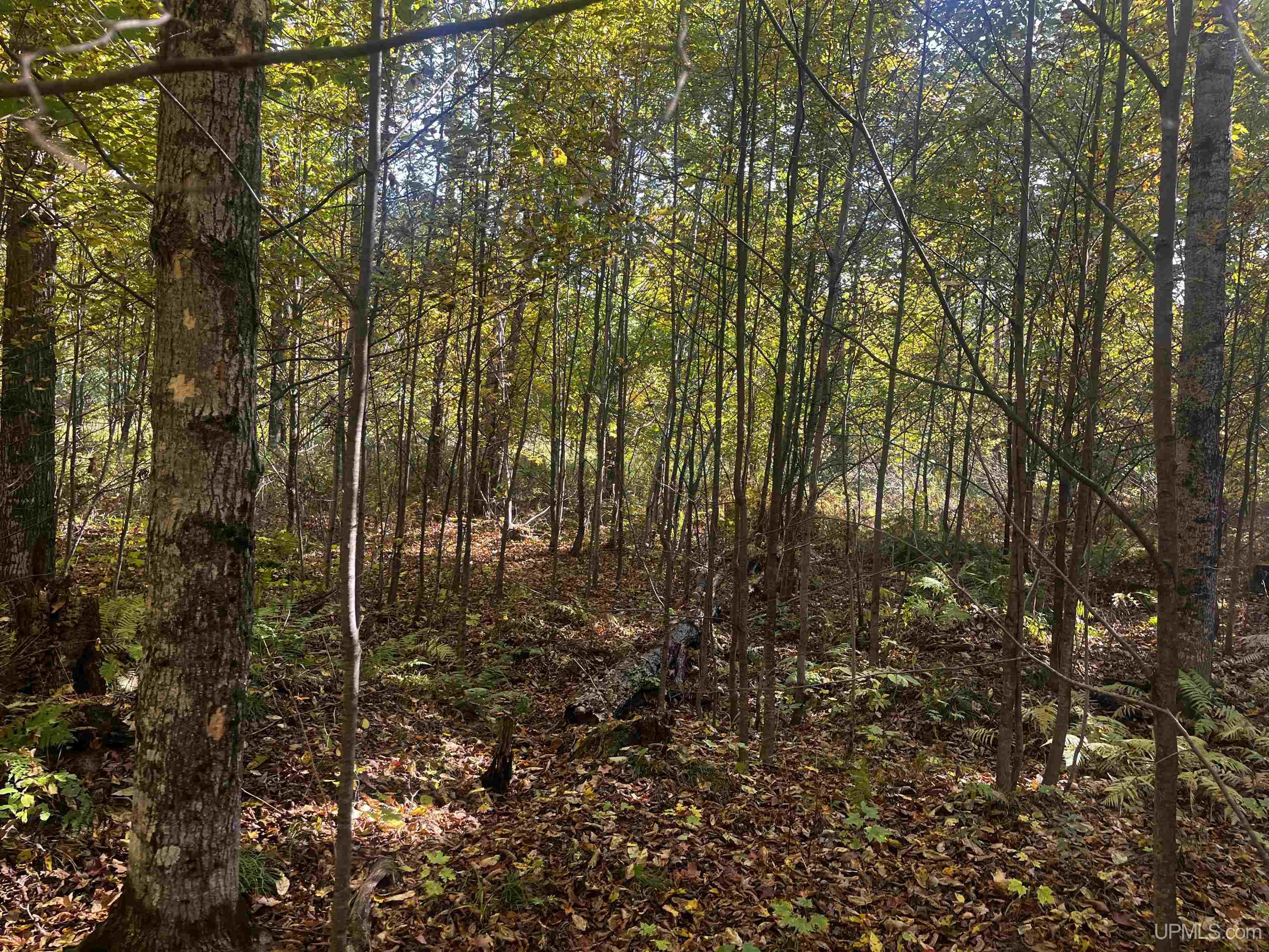 4104 Storm Road Chatham, MI 49816 - Photo 26 of 45