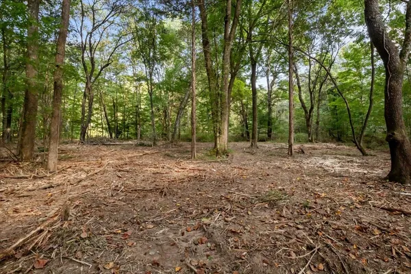 a view of outdoor space with trees