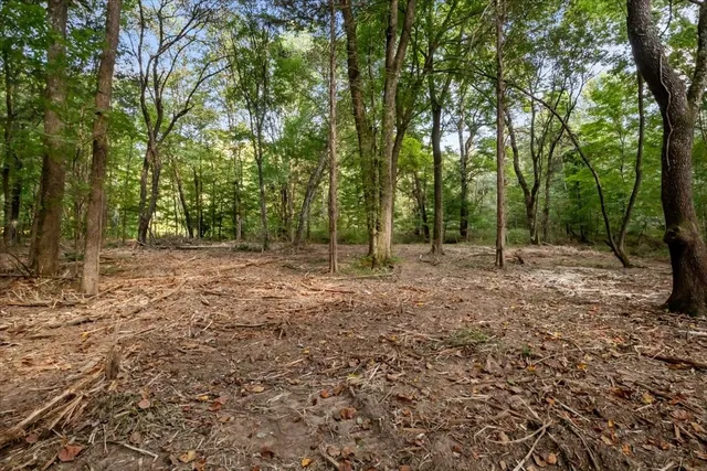 a view of outdoor space with trees