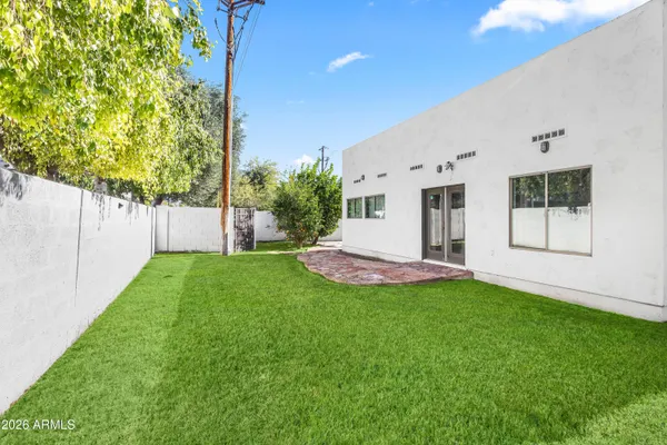 a view of a backyard with plants and large tree