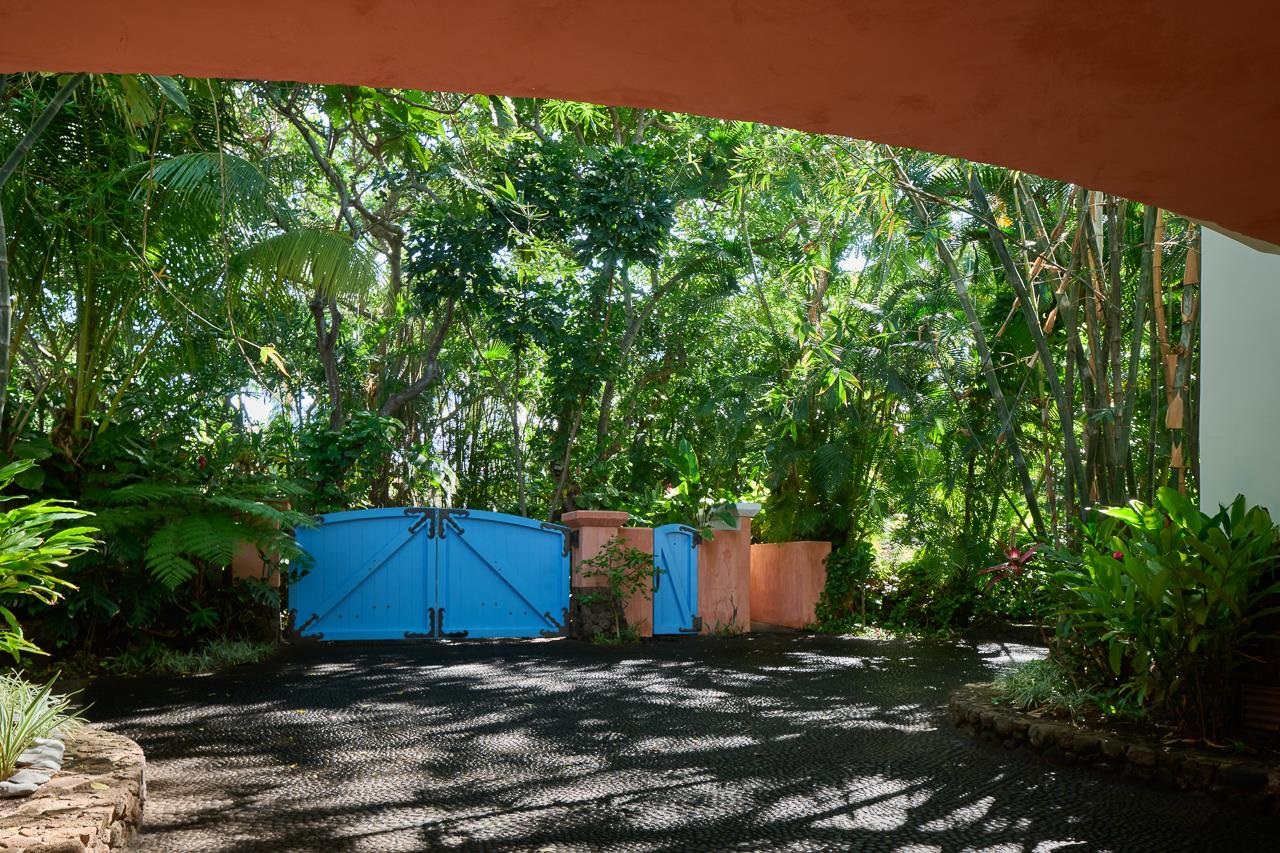 51 Hui Road East Lahaina, HI 96761 - Photo 41 of 49 a view of a backyard