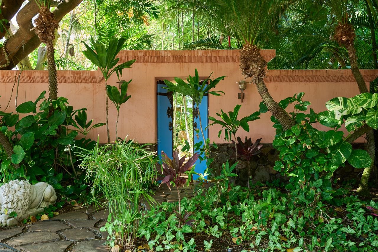 51 Hui Road East Lahaina, HI 96761 - Photo 5 of 49 an outdoor view with plants
