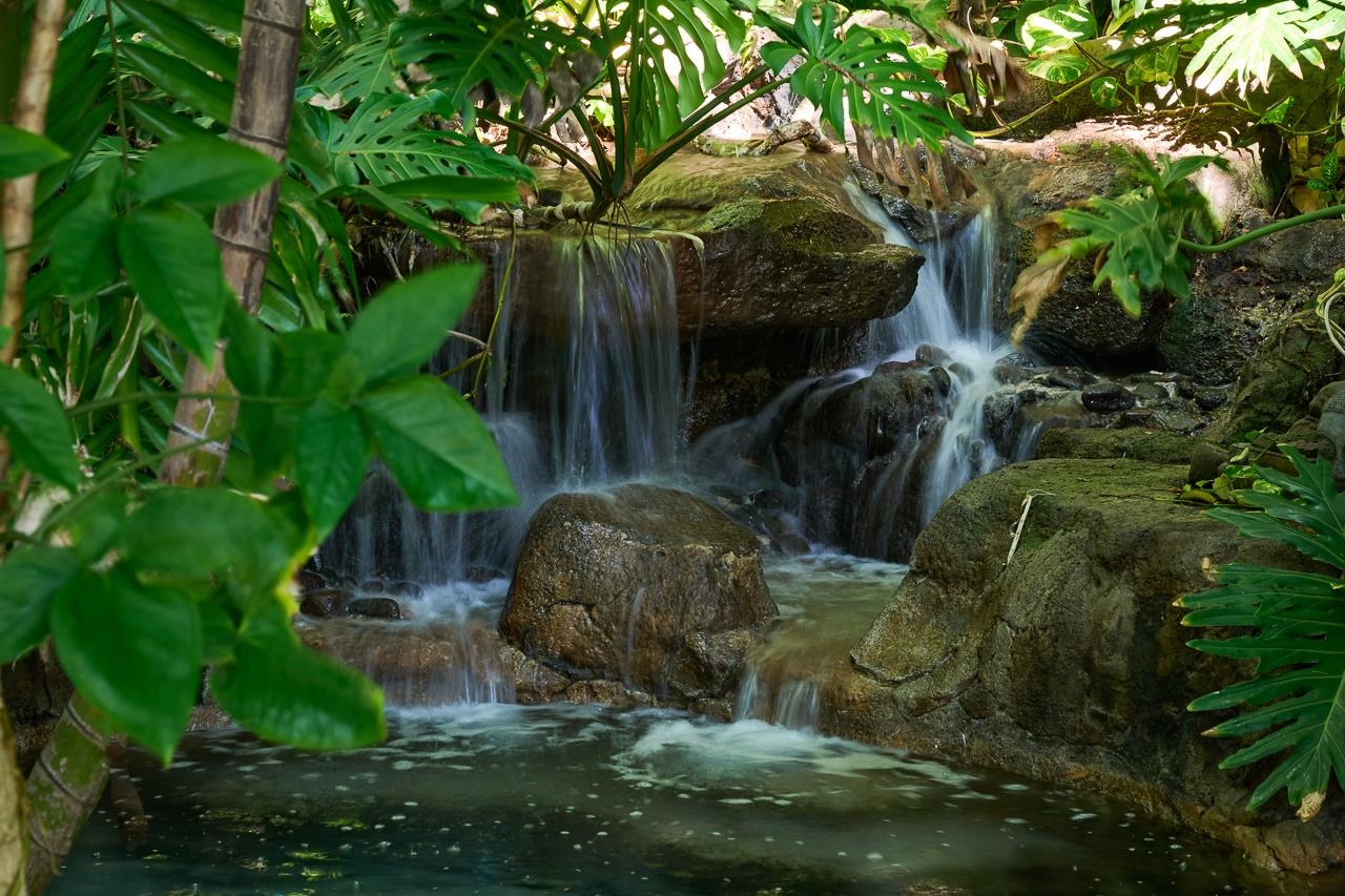 51 Hui Road East Lahaina, HI 96761 - Photo 7 of 49 a view of outdoor area