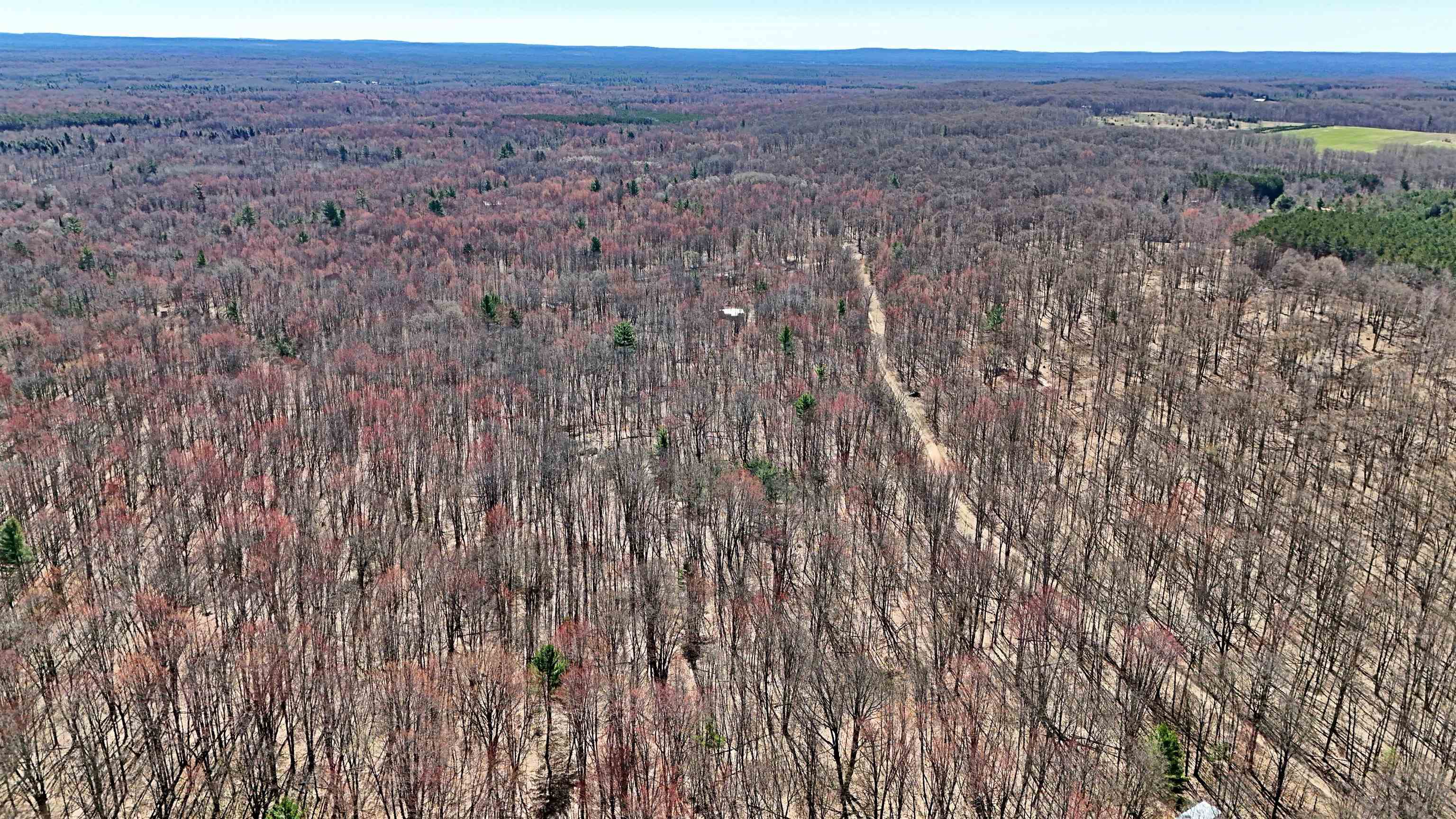 Vl 00 Cherry Hill Road Fife Lake, MI 49633 - Photo 12 of 21