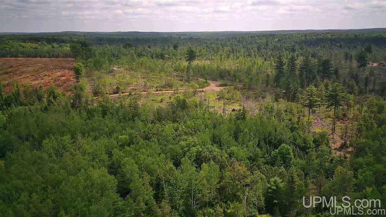 Tbd Sand Road, Unit 2 Powers, MI 49874 - Photo 11 of 38