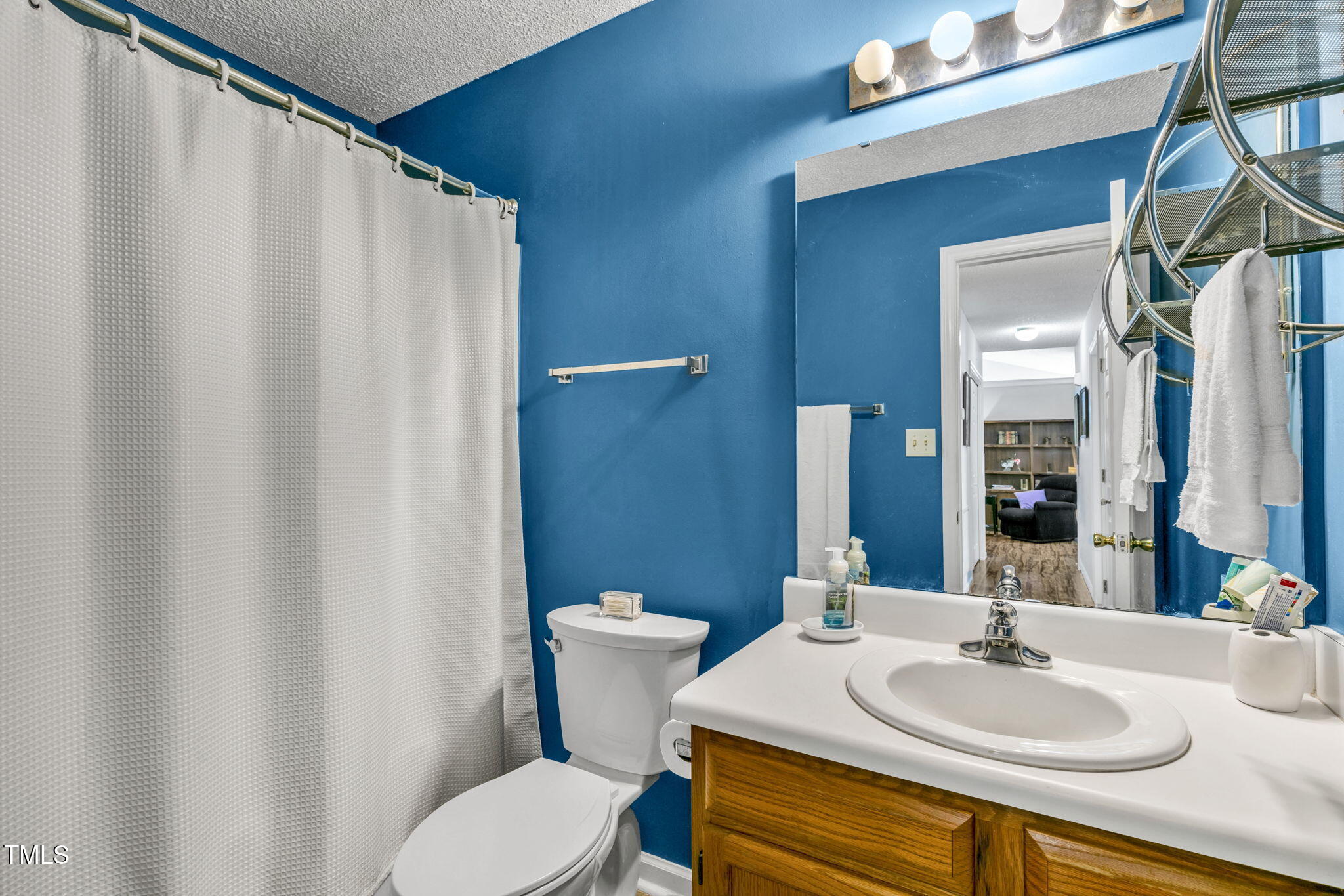 4317 Snow Goose Court Raleigh, NC 27616 - Photo 29 of 43 a bathroom with a sink and a mirror