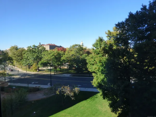 a view of a yard with a tree