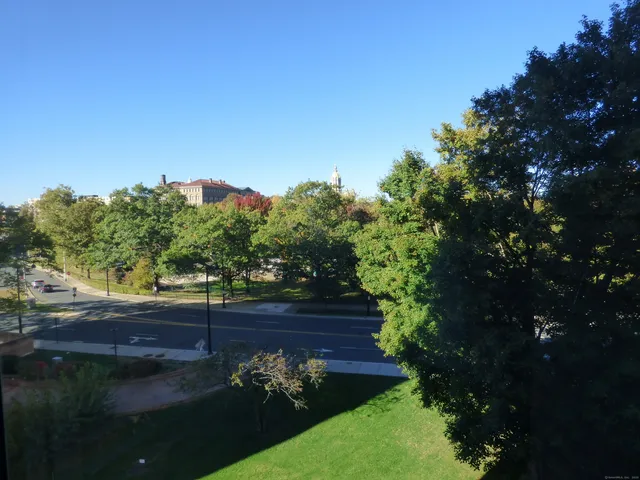 a view of a yard with a tree