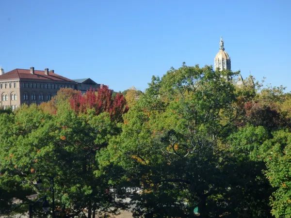 a view of a house with a yard and a fountain