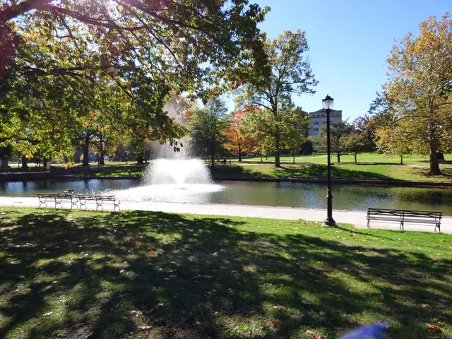 a view of a lake from a yard