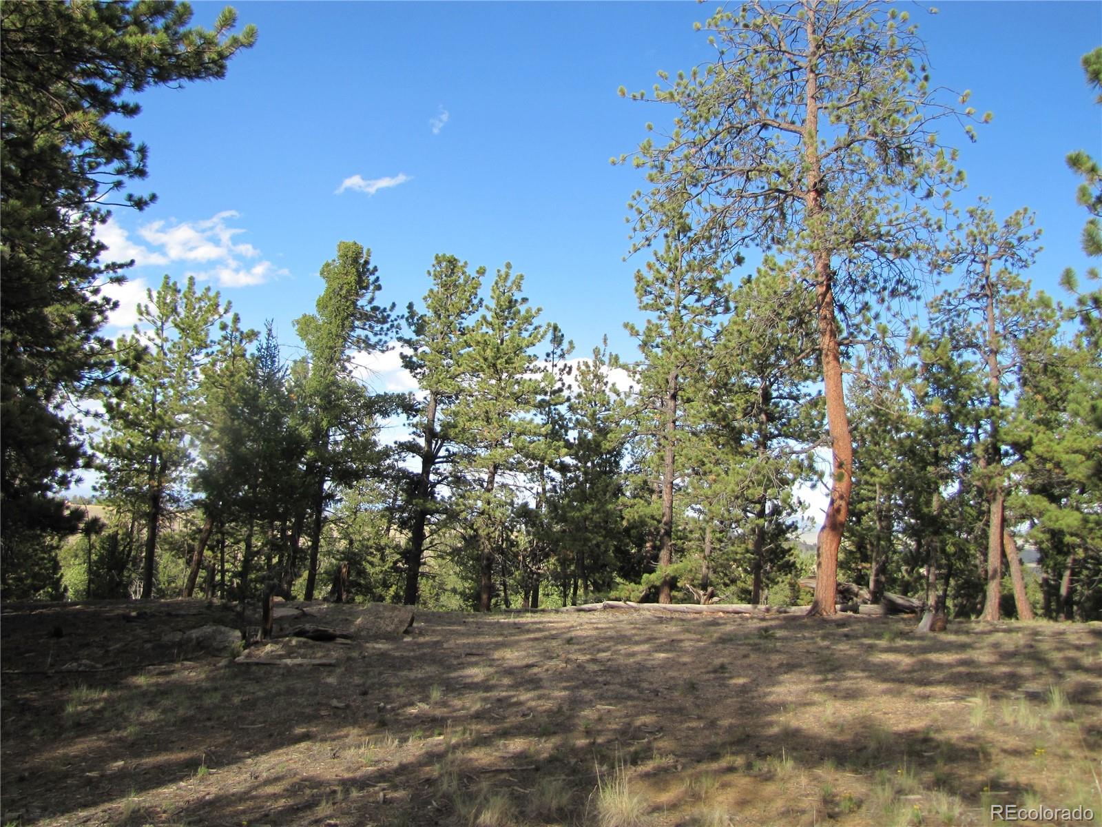 1307 Bellows Road Hartsel, CO 80449 - Photo 8 of 10 a view of a yard with a tree