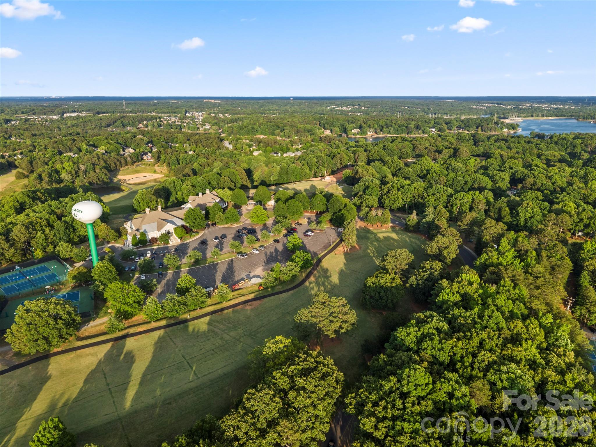 3072 Point Clear Drive Tega Cay, SC 29708 - Photo 37 of 47