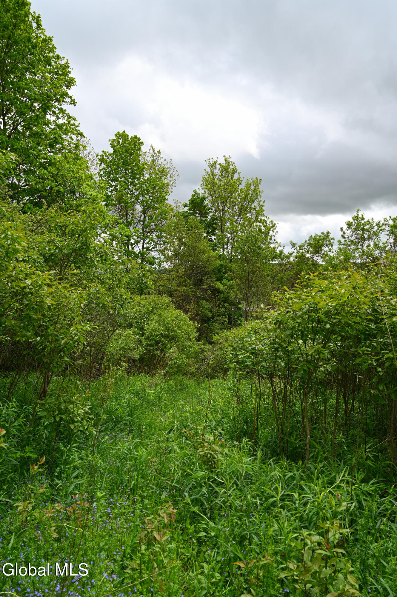 144 Maple Bush Road Cobleskill, NY 12043 - Photo 63 of 83 DSC_7290