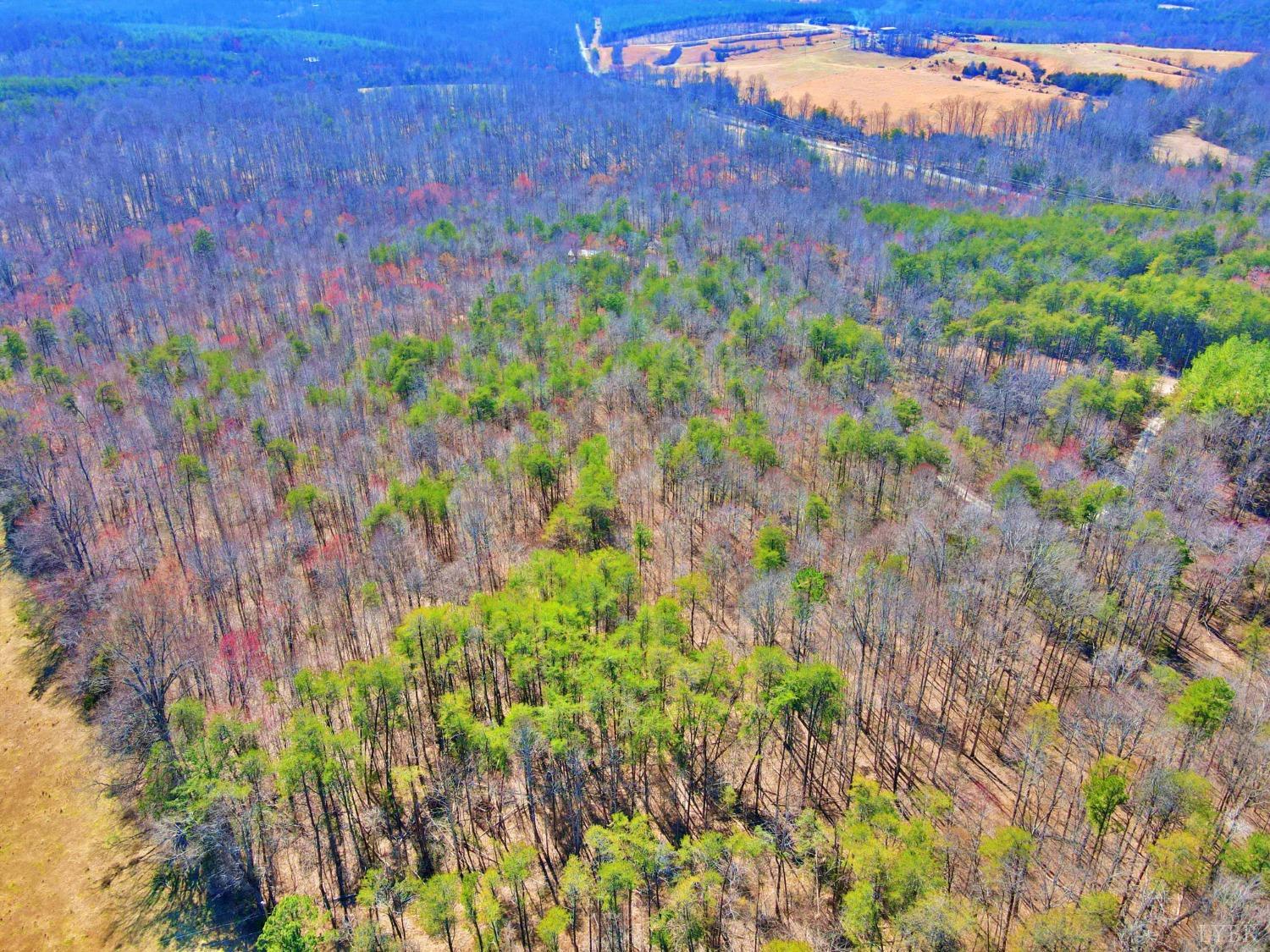 2 Watt Abbitt Road Appomattox, VA 24522 - Photo 14 of 14 a view of a yard with a tree