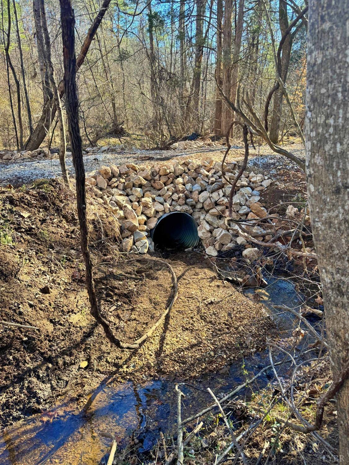 2 Watt Abbitt Road Appomattox, VA 24522 - Photo 3 of 14 a view of yard