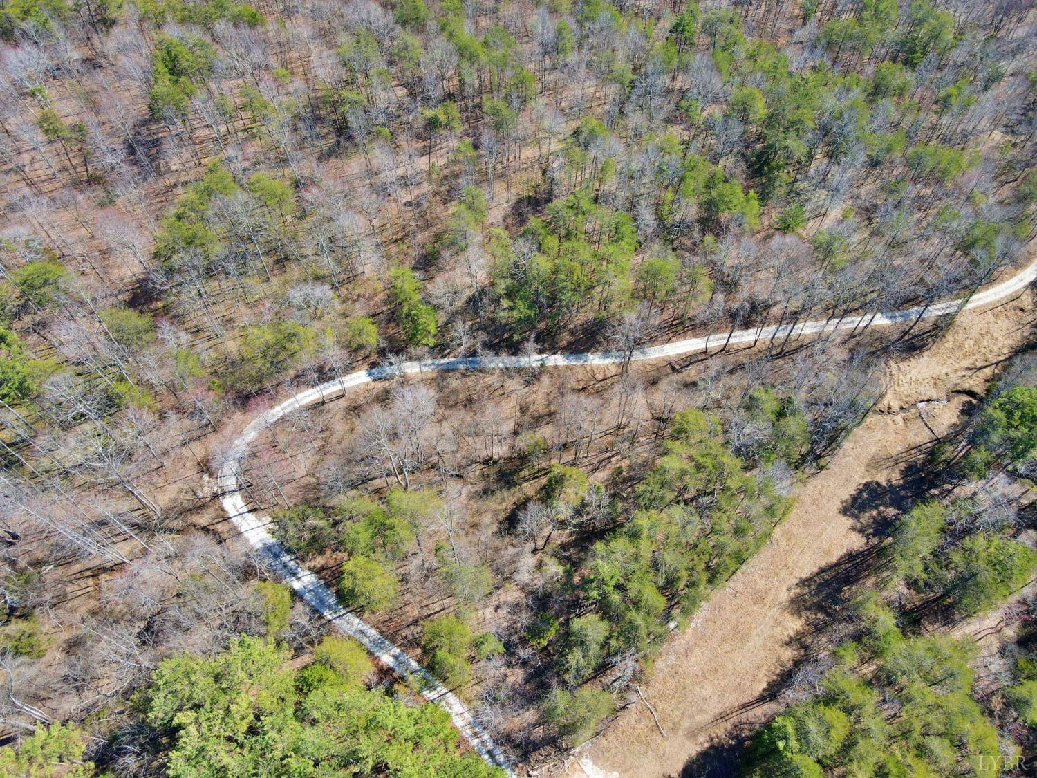 2 Watt Abbitt Road Appomattox, VA 24522 - Photo 4 of 14 a view of a dry yard with lots of bushes