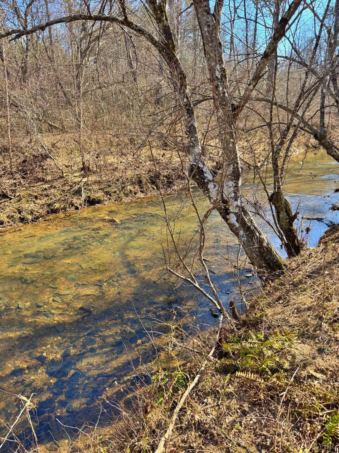2 Watt Abbitt Road Appomattox, VA 24522 - Photo 5 of 14 a backyard of a house with lots of green space