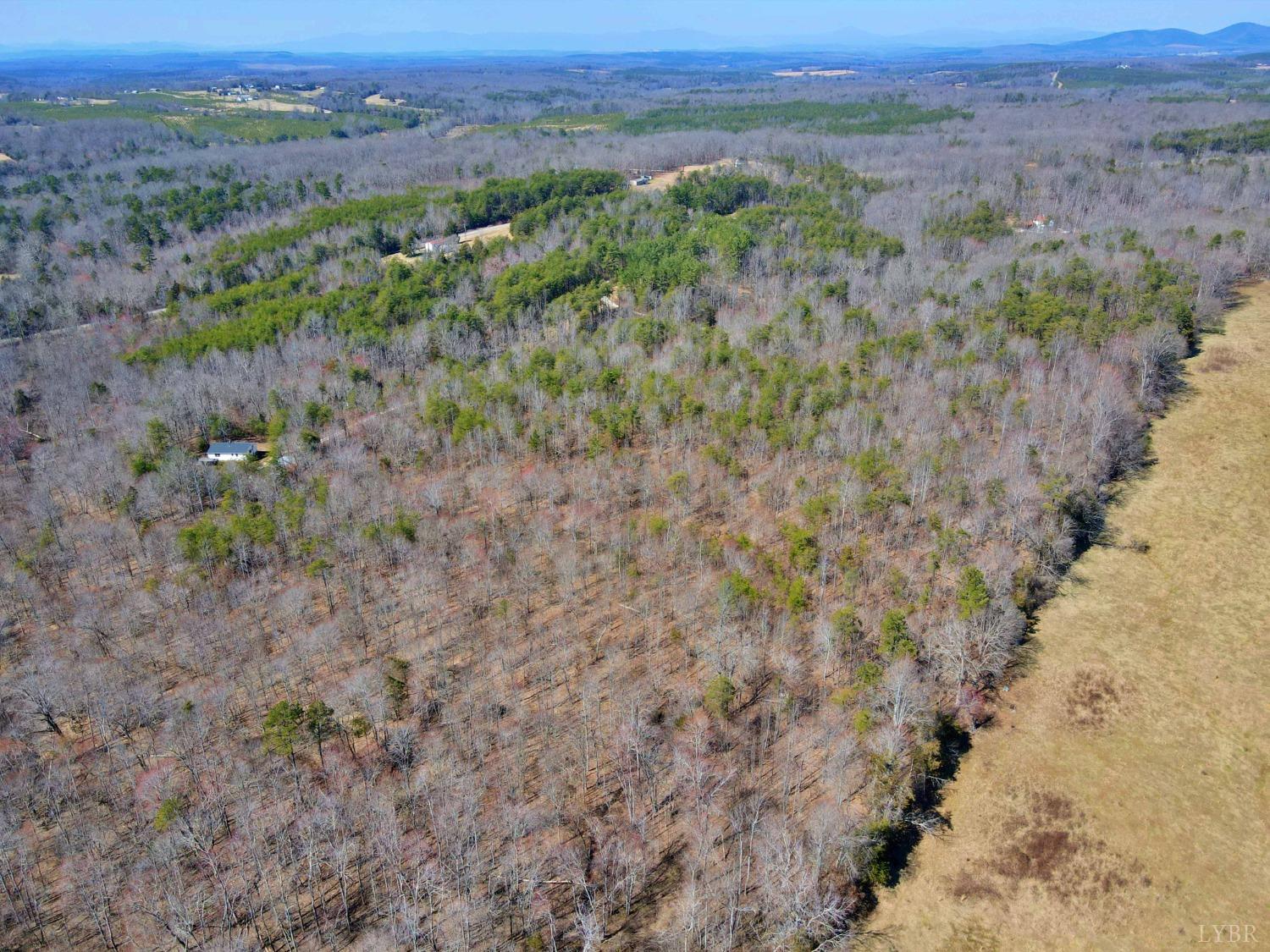 2 Watt Abbitt Road Appomattox, VA 24522 - Photo 9 of 14 a view of a yard with trees and bushes