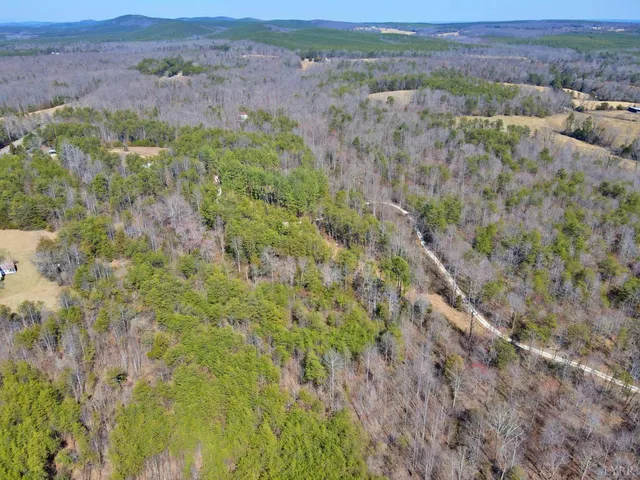 an aerial view of mountain with trees