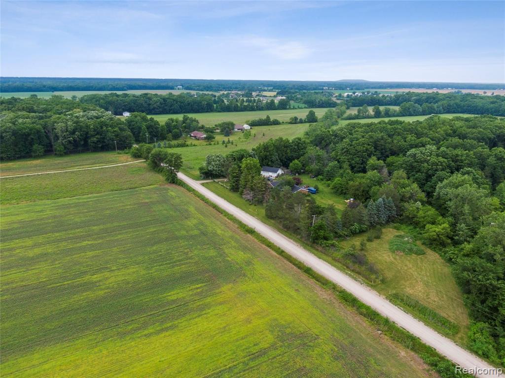 10548 Bitz Road Maybee, MI 48159 - Photo 6 of 30