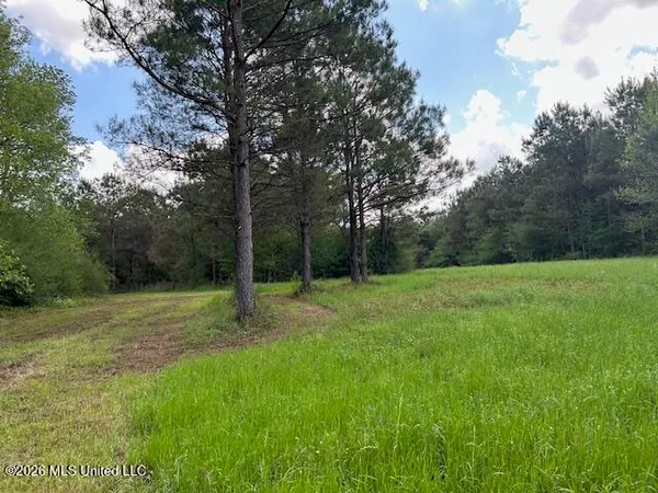 $299,500 | Holmes Road, Tylertown, MS 39667