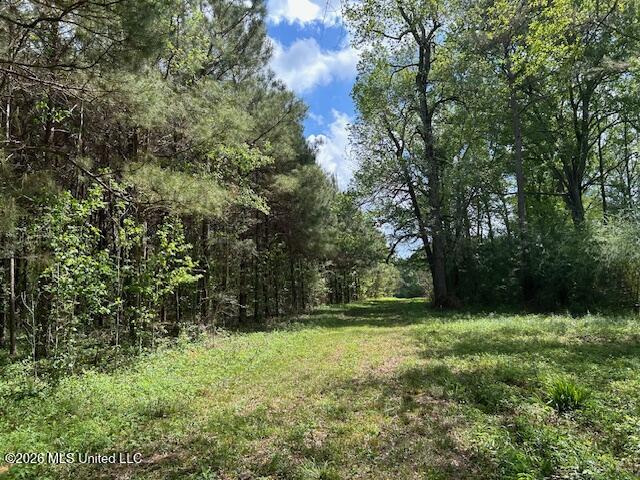 Holmes Road Tylertown, MS 39667 - Photo 11 of 43 IMG_3816